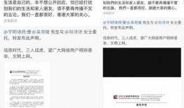 中国明星爆料明细查询最新,热点事件与幕后真相大起底
